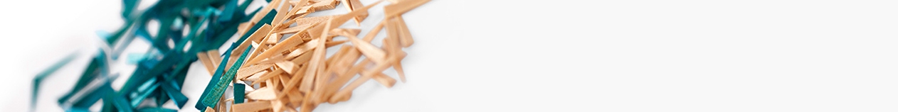 Pene anatomice Banner IMG